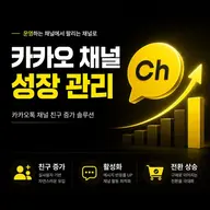 카카오톡 채널친구 늘리기