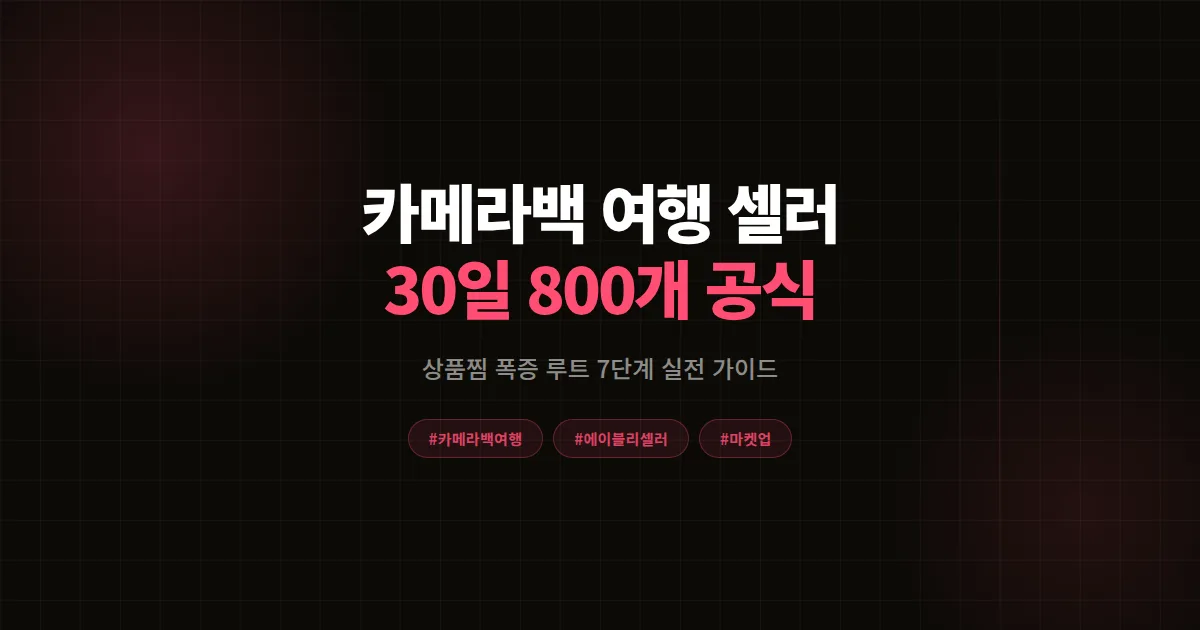 카메라백 여행 카테고리로 에이블리 신상 런칭, 30일 만에 상품찜 800개 돌파한 7단계